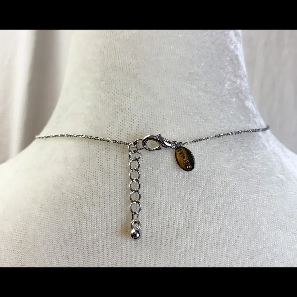 Express silver tone